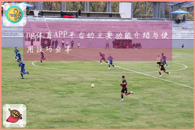 ng体育APP平台的主要功能介绍与使用技巧分享