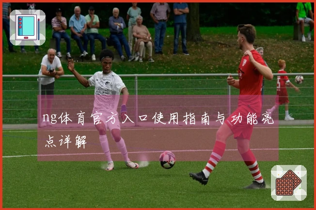ng体育官方入口使用指南与功能亮点详解