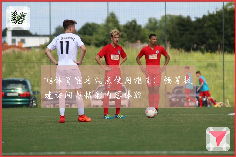 ng体育官方站点使用指南：畅享极速访问与精彩内容体验