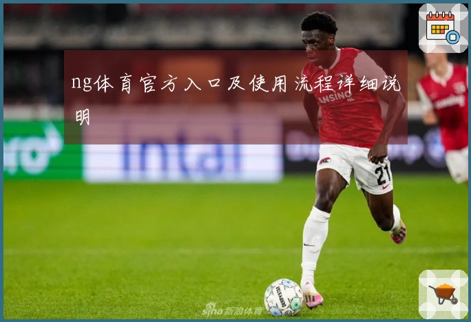 ng体育官方入口及使用流程详细说明