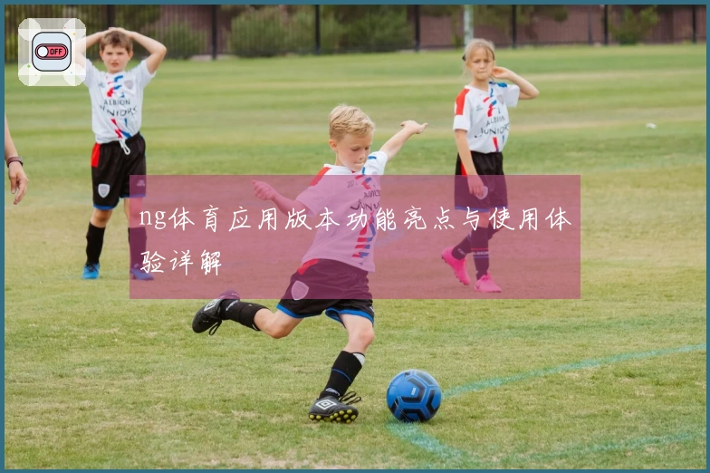 ng体育应用版本功能亮点与使用体验详解