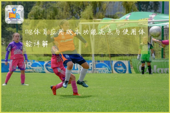 ng体育应用版本功能亮点与使用体验详解